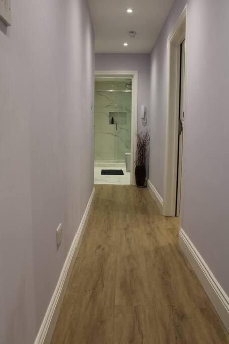 Lavish Near Wembley Stadium Appartamento Londra