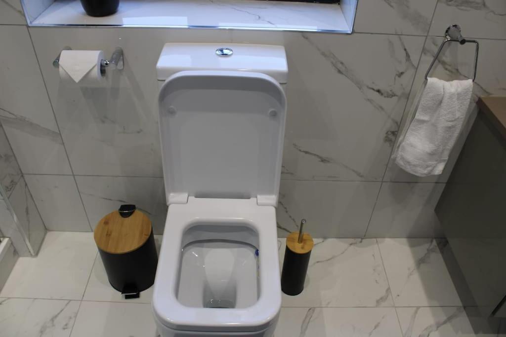 Lavish Near Wembley Stadium Appartamento Londra