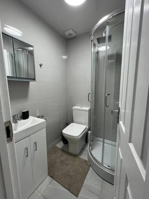 Appartement Stylish Flat In Camden/kingscross Londen
