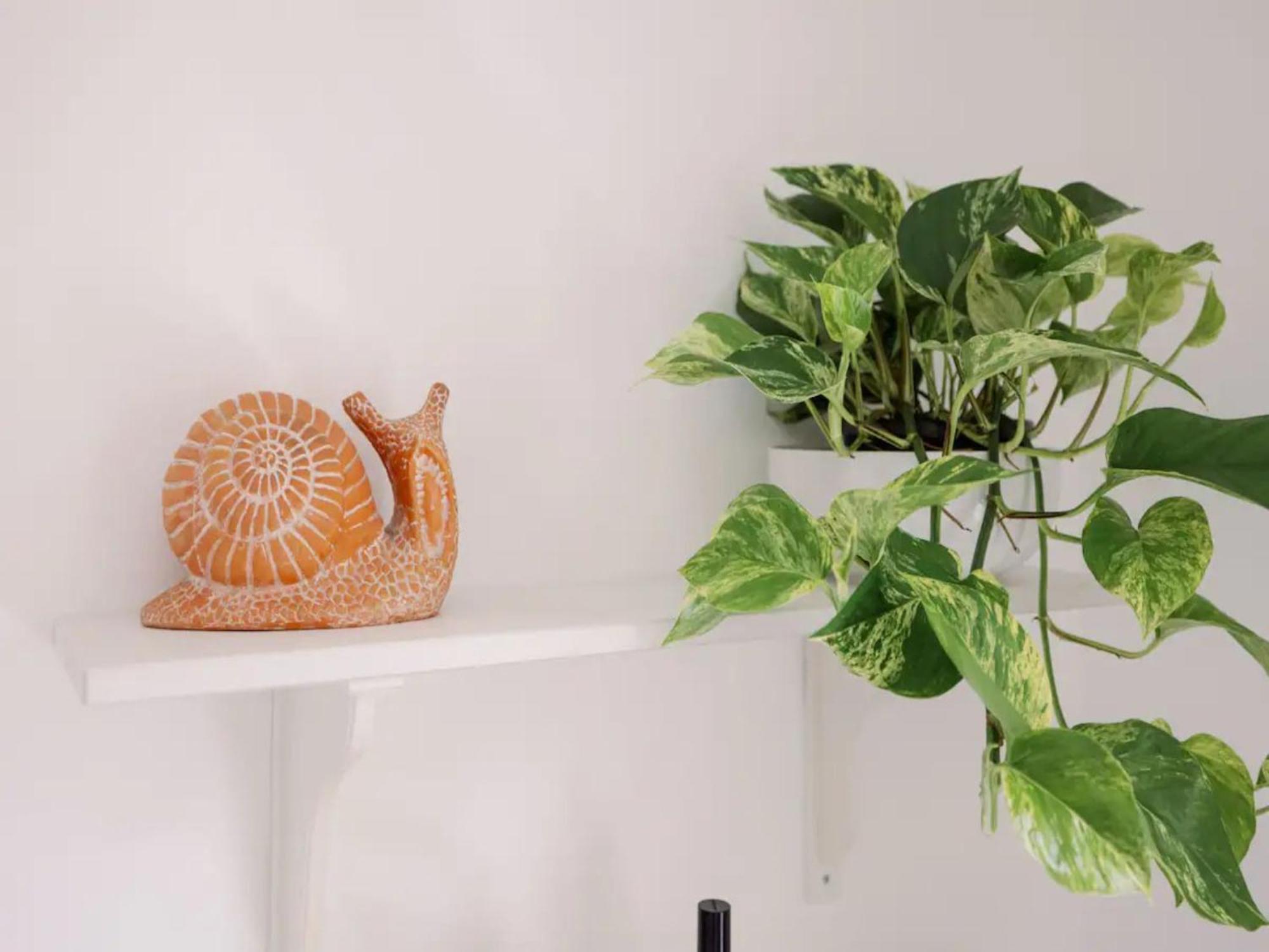 Appartement Pass The Keys Charming Victorian Gem By Portobello Market