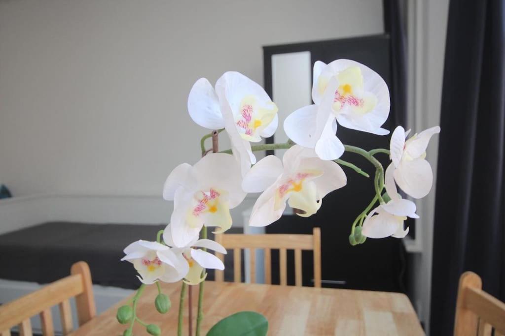South Kensington Flat Close To Hyde Park Londra
