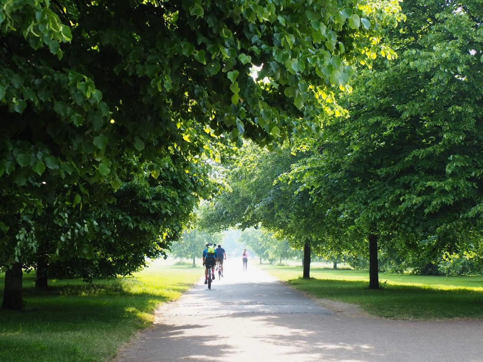 Doubletree By Hilton - Hyde Park