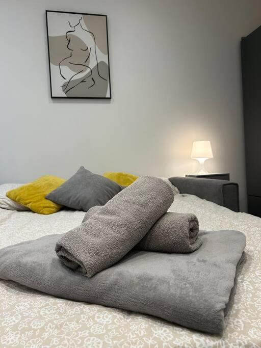 Cosy Studio Near Emirates Stadium