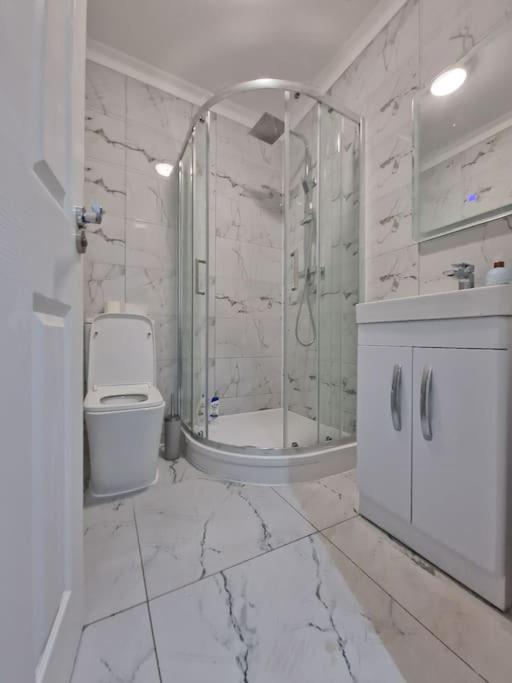 Modern Flat On Lea Bridge Road. Leilighet London
