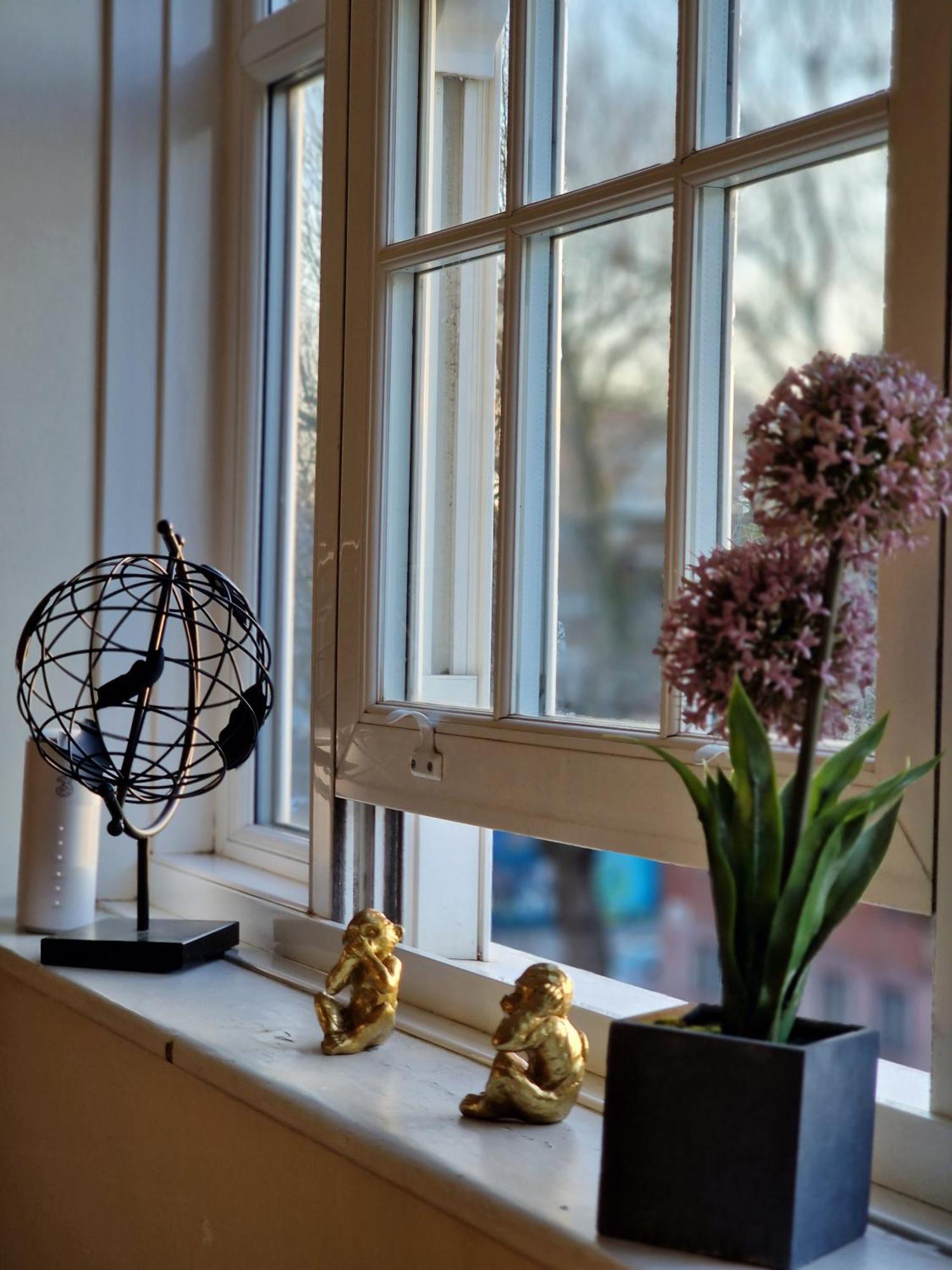 Location Appartement