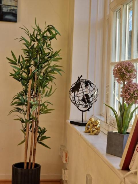 Appartement Location