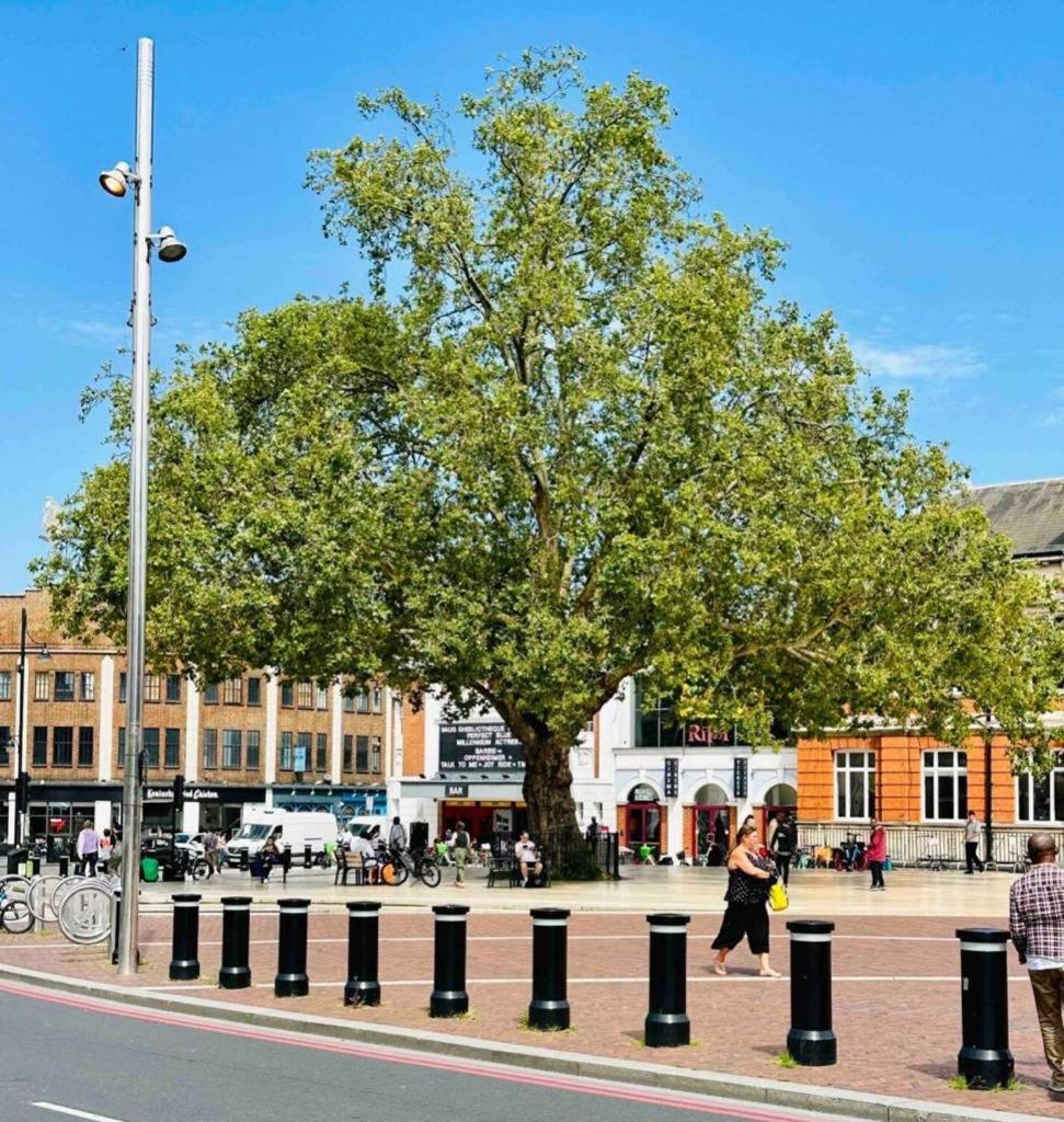 Appartement Stylish 2 Bedrooms Flat Sleeps 6 & Garden Zone 2 Cls Londen