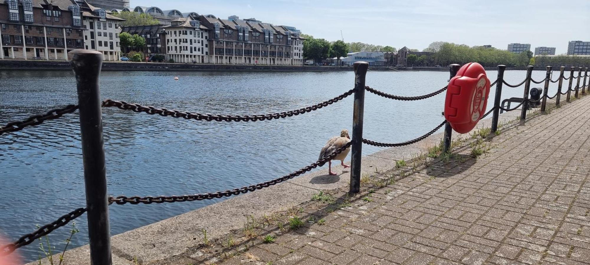 Two Stunning Bedrooms & Private Balcony & River View Accommodatie bij particulieren Londen