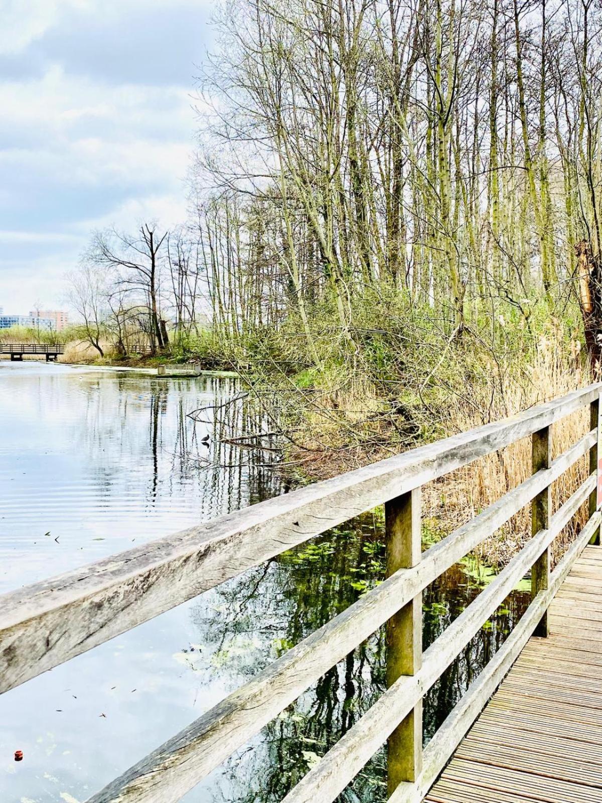 Privat overnatting North Greenwhich