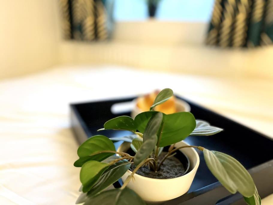 Hébergement de vacances Modern 2 Bed Close To Mall With Parking & Garden