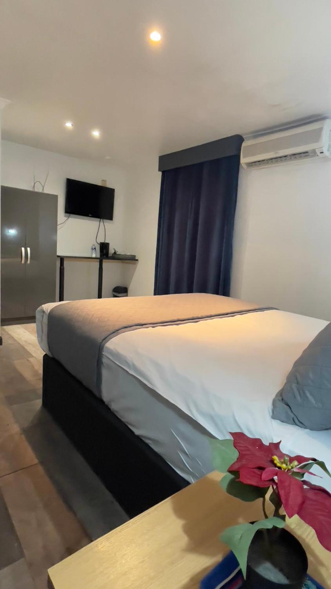 Pasha - 3* Boutique Hotel London