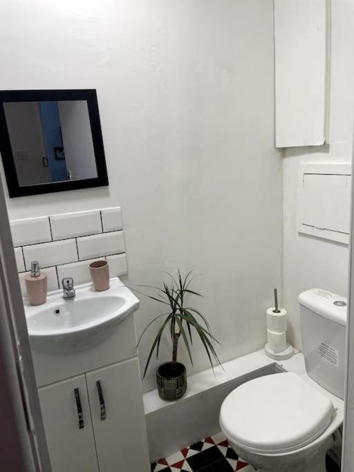 Apartment Flat In Heart Of *