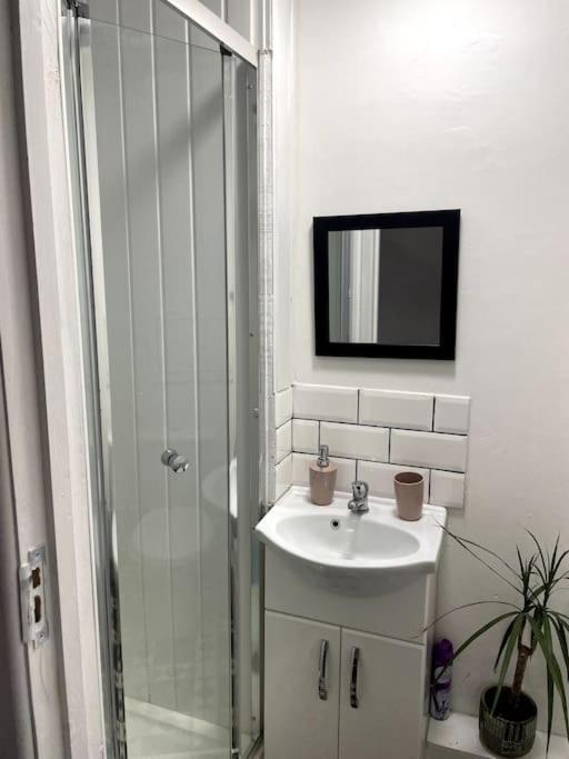 Flat In Heart Of Apartment *