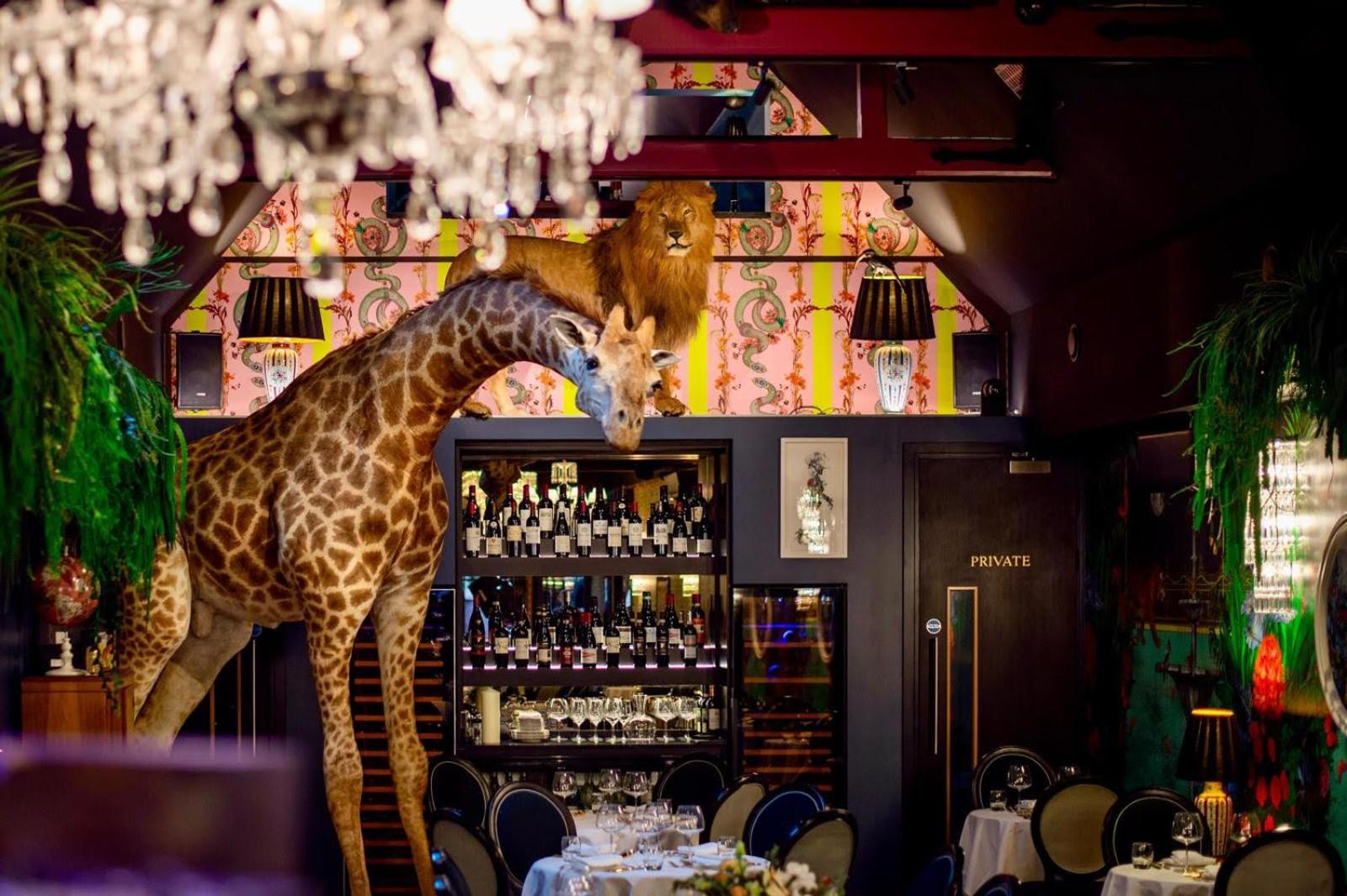 Hotell Hux Hotel, Kensington 4*
