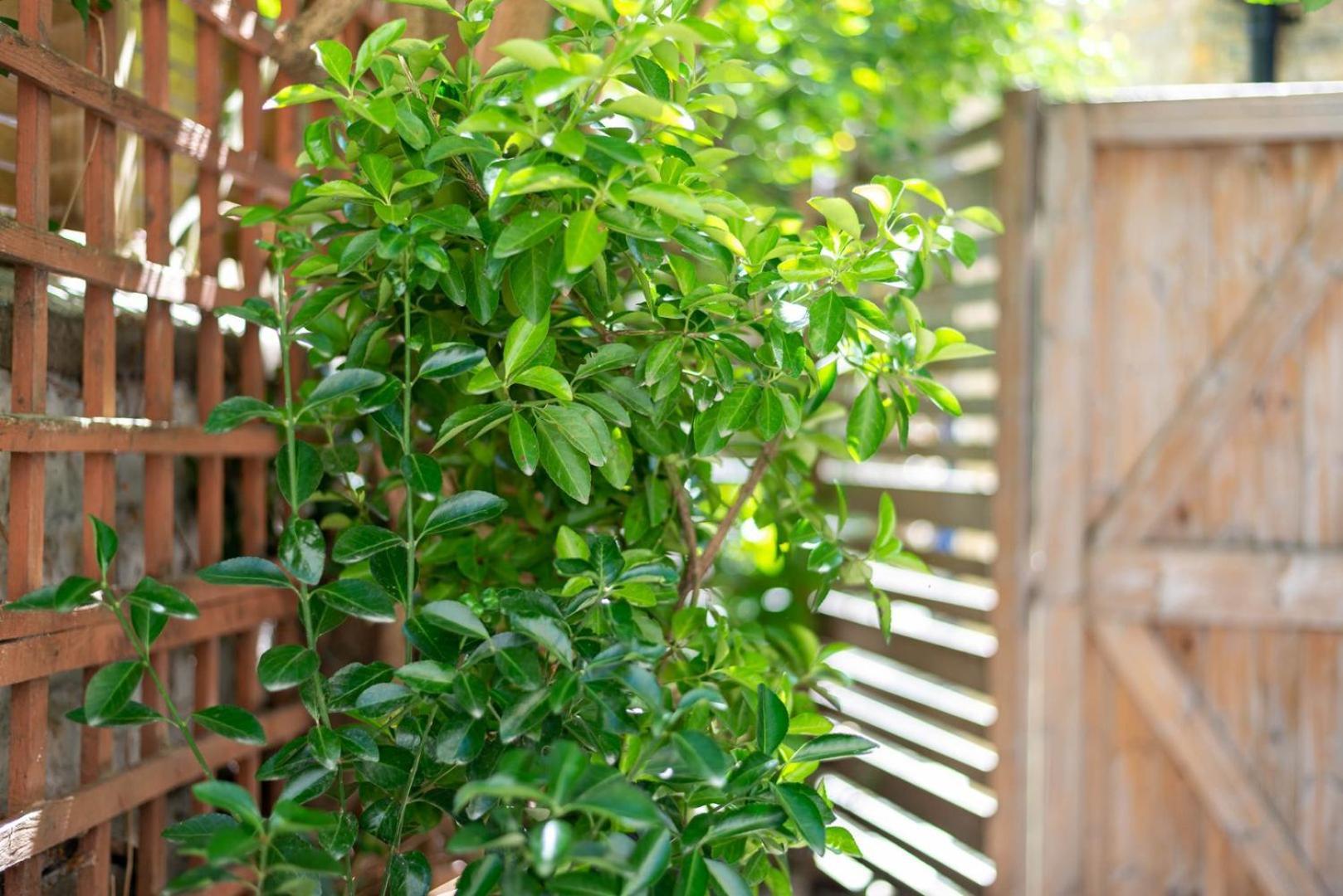 Guestready - Micro Garden Flat In Fulham Appartamento *