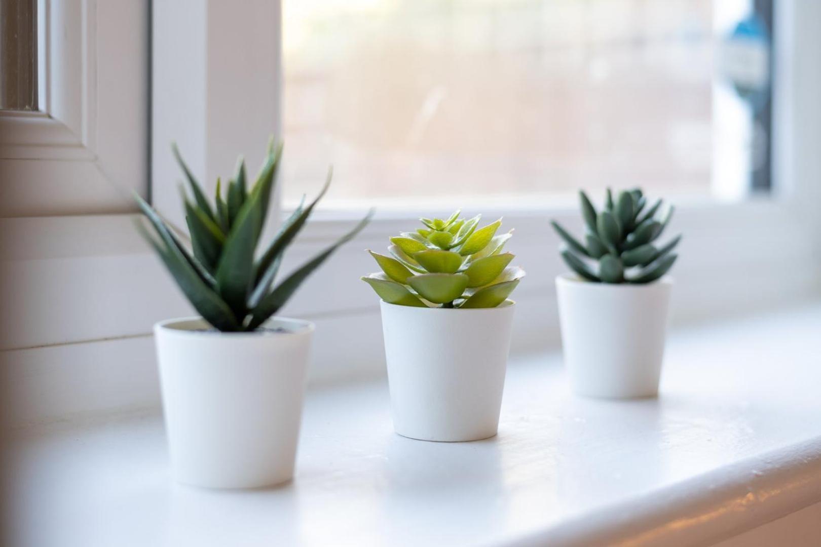 Guestready - Soberbo Moderno Com Jardim Em Kilburn Londen