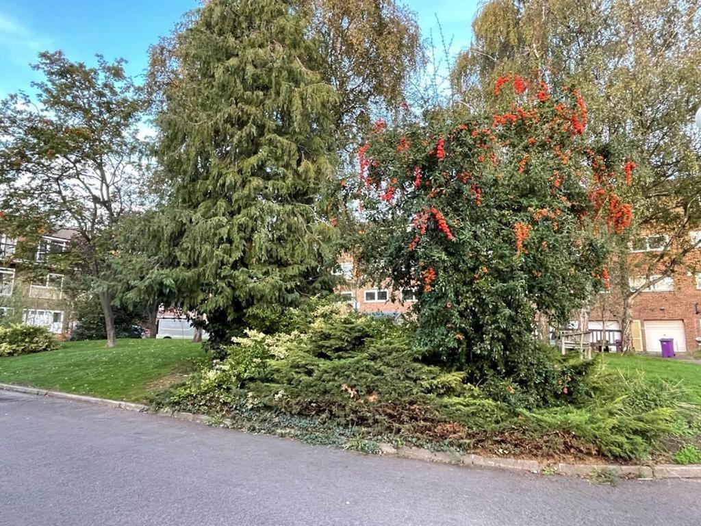 Cosy Bedroom With Private Bathroom Ensuite In Canary Wharf E14 Only 1 Stop To Excel And O2 For Short Or Long Let In Canary Wharf, Less Than An Hour From Heathrow, Stansted And Gatwick Airport Gjestgiverier London