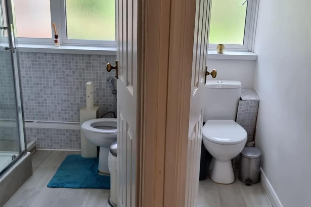 Entire Flat In Alexandra Palace Londra