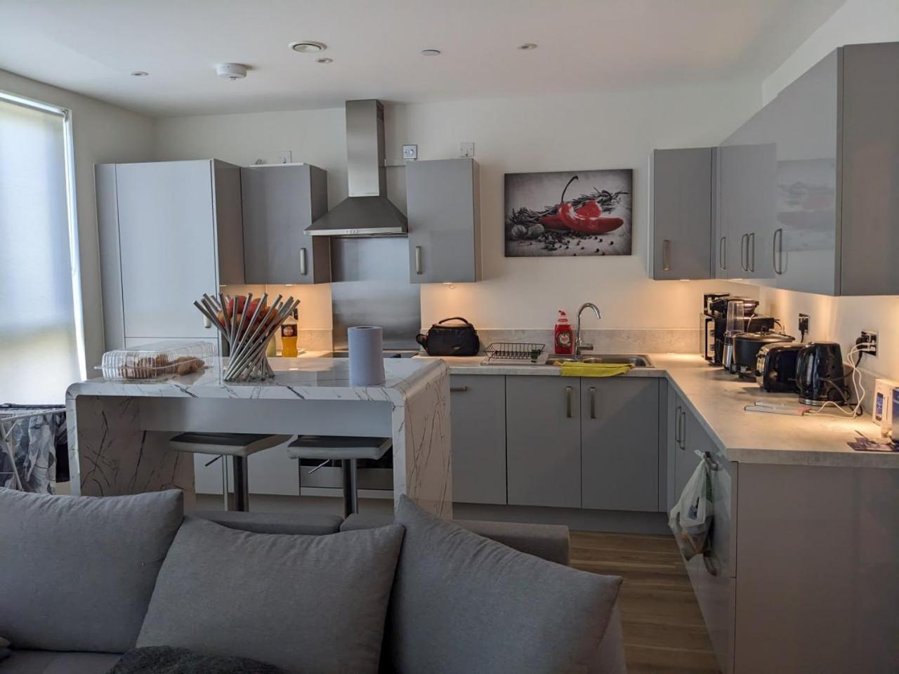 Leilighet Raintree Village London