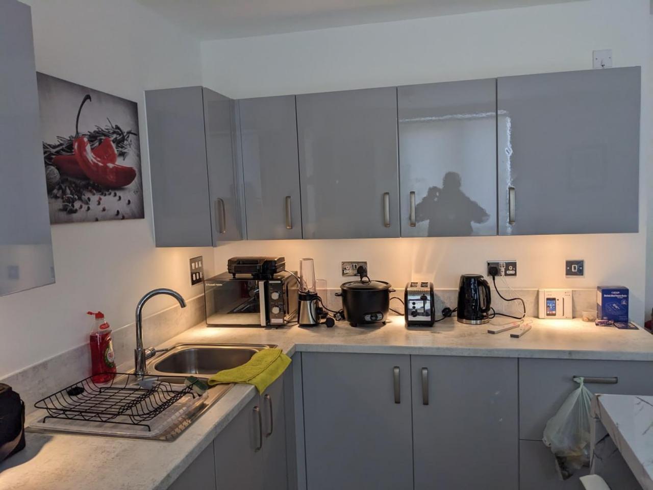 Leilighet Raintree Village London