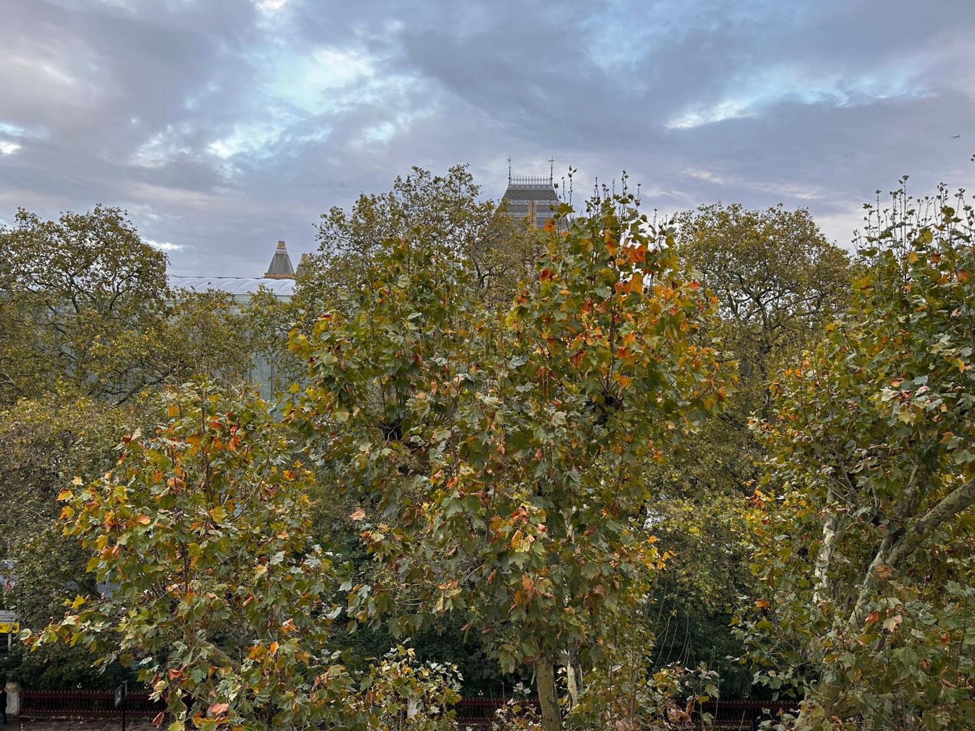Apartment Renovu Premium Homes In Kensington London