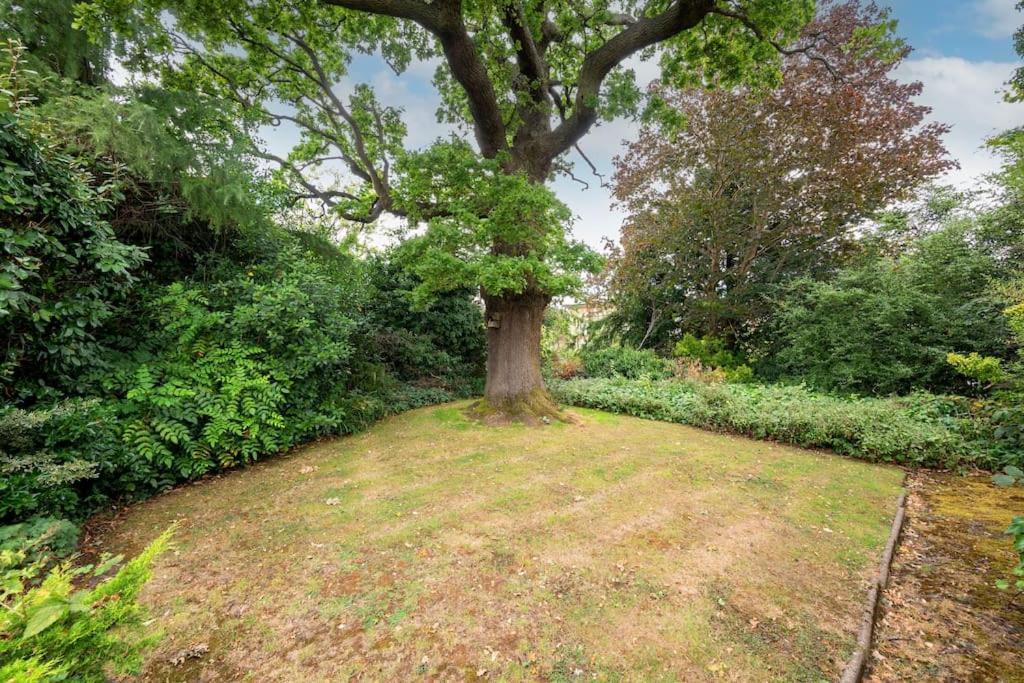 Appartement 5 Bed With Private Parking - 25 Mins To *