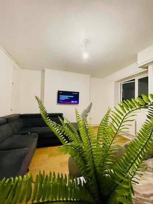 Appartement 2bd Canarywharf Mile End Private Balcony Free Parking Londres