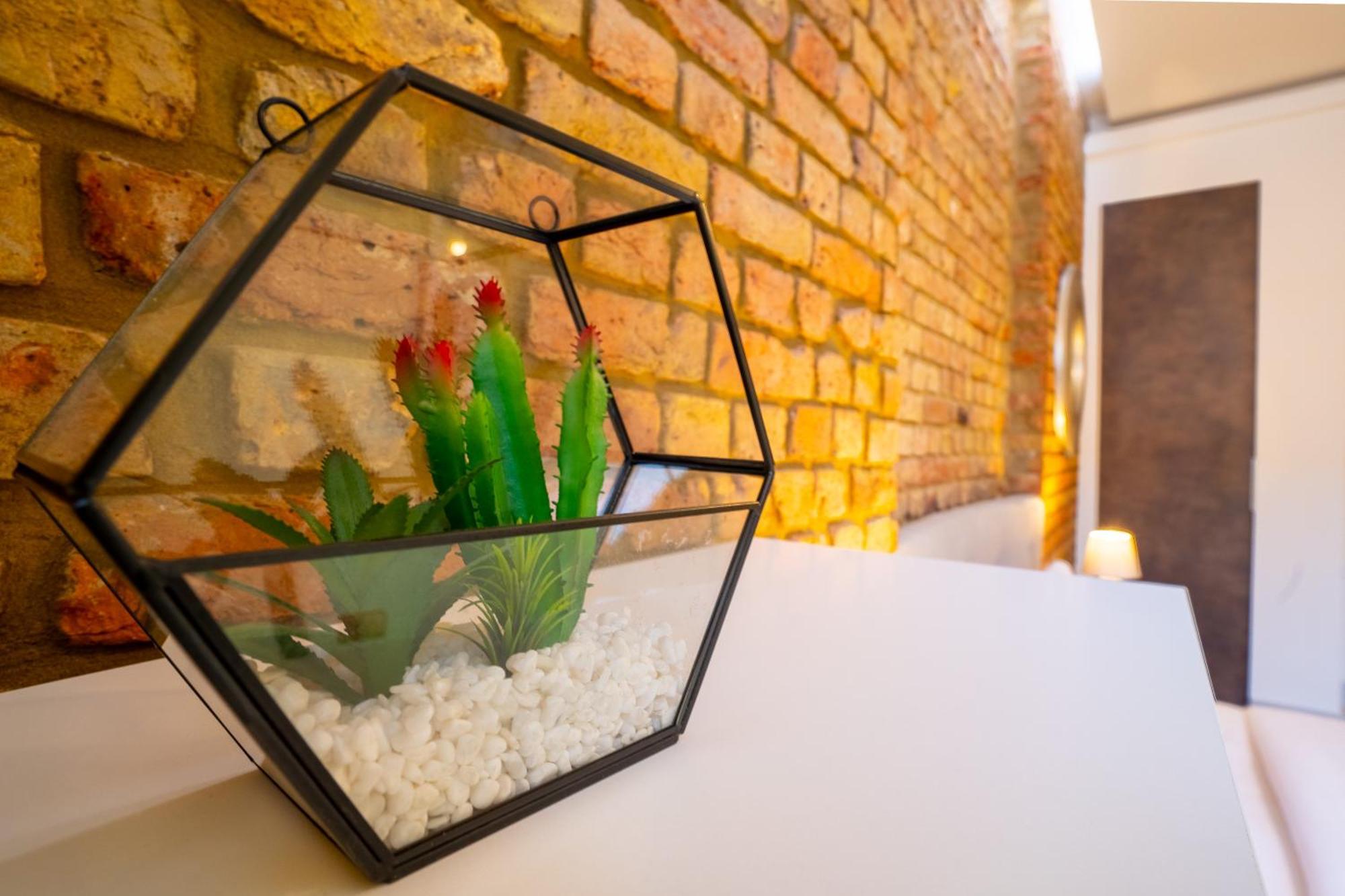Stylish Modern In Nw6 Londen