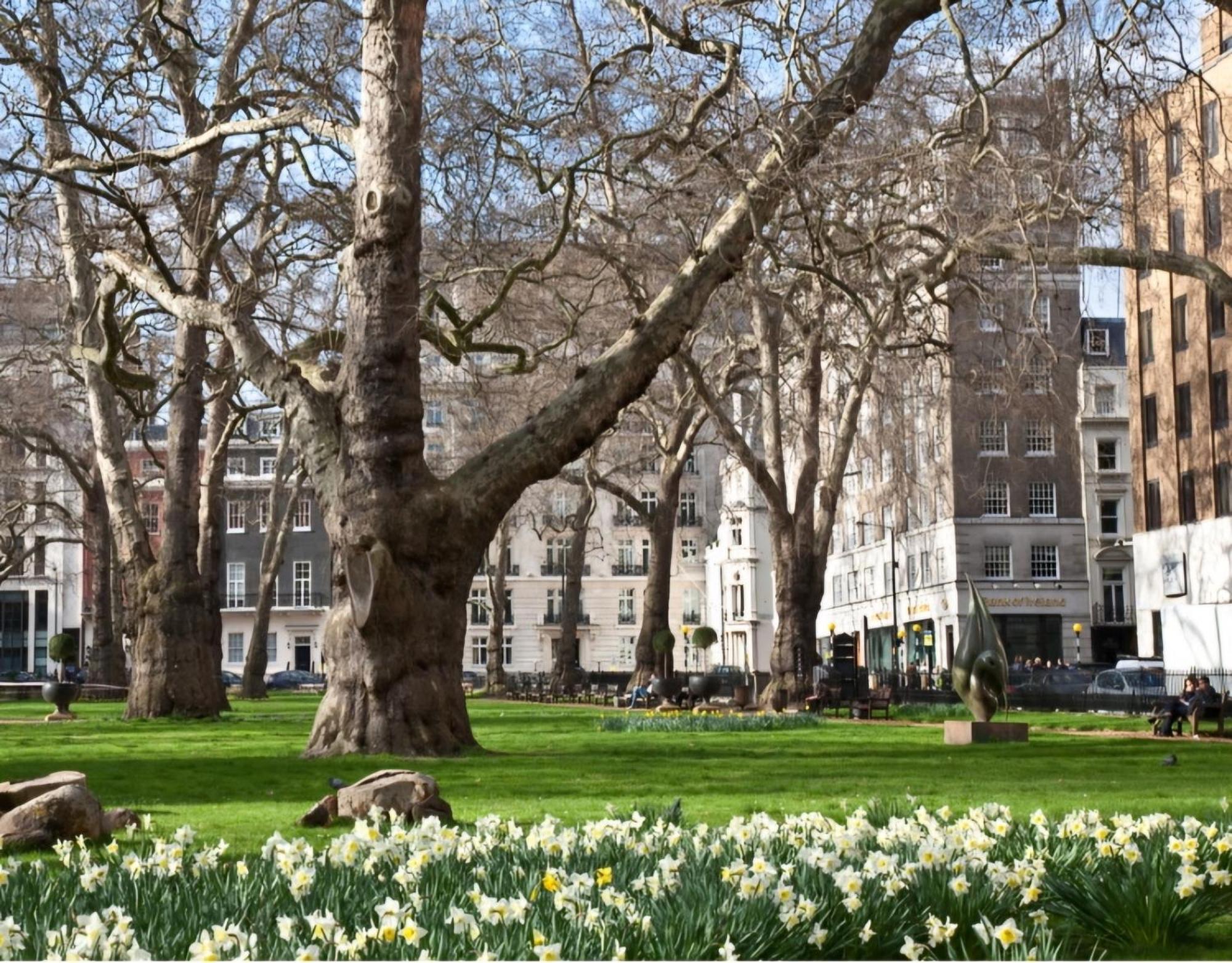 Modern Flat In Mayfair Londra