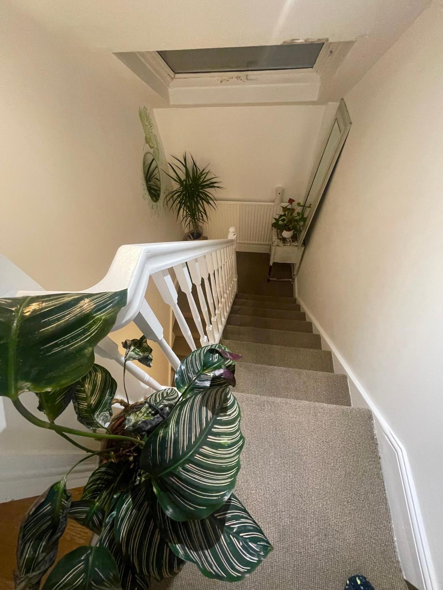 Privat overnatting Cozy Close To Camden Market London