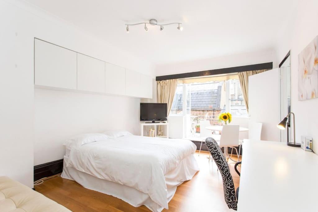 Baker Street With Terrace Appartement Londen
