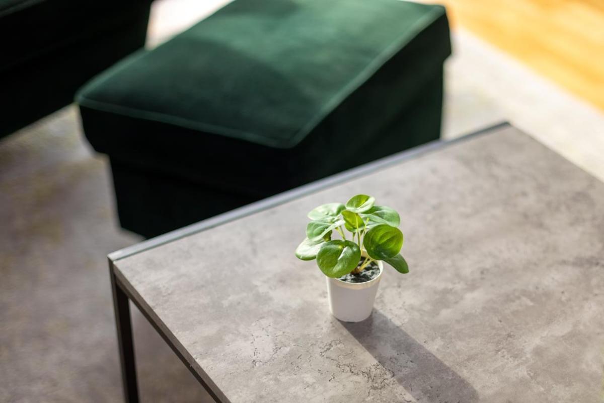 Lejlighed Modern Chiswick London