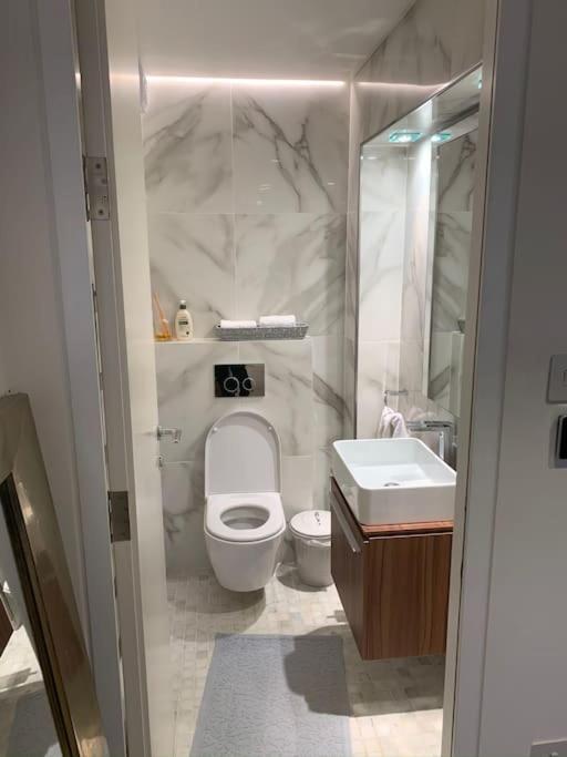Luxury 2bed Hyde Park Penthouse With Rooftop Appartement Londen