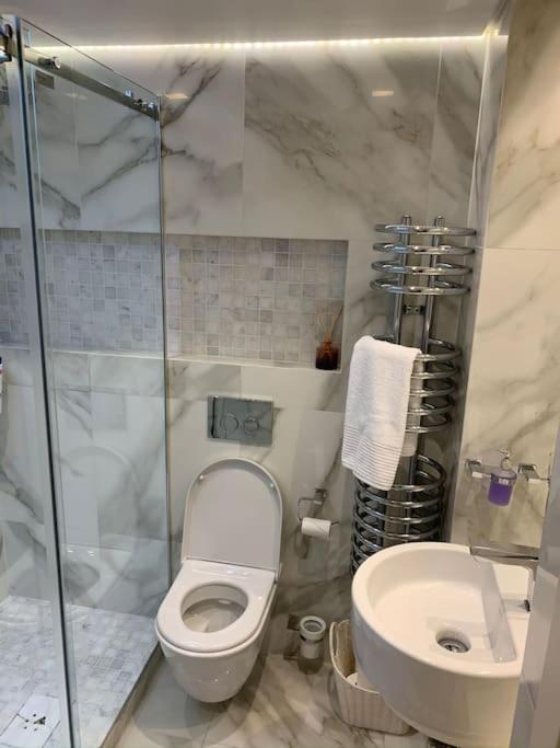Luxury 2bed Hyde Park Penthouse With Rooftop Appartement Londen
