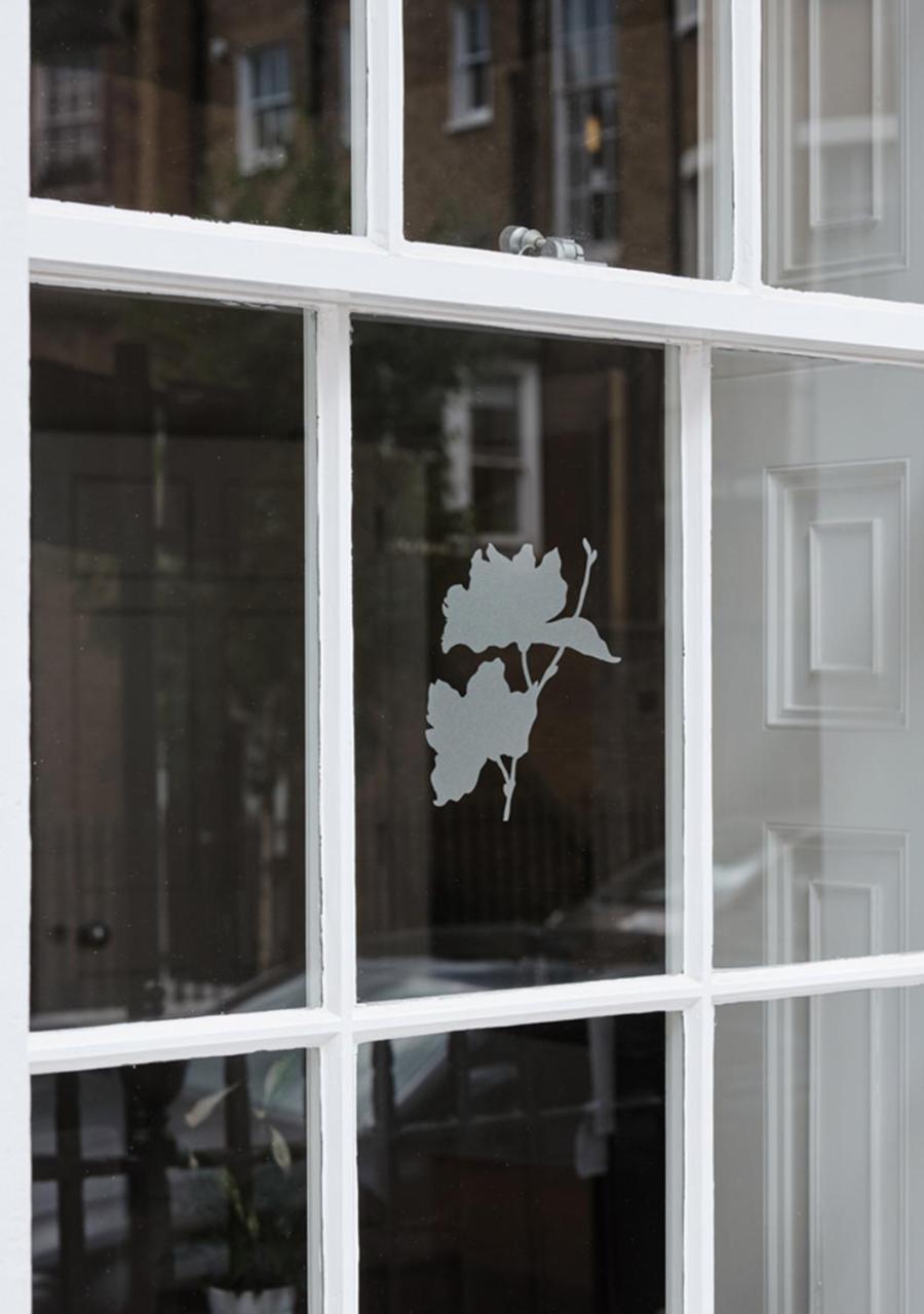 Montagu Place Hotel London