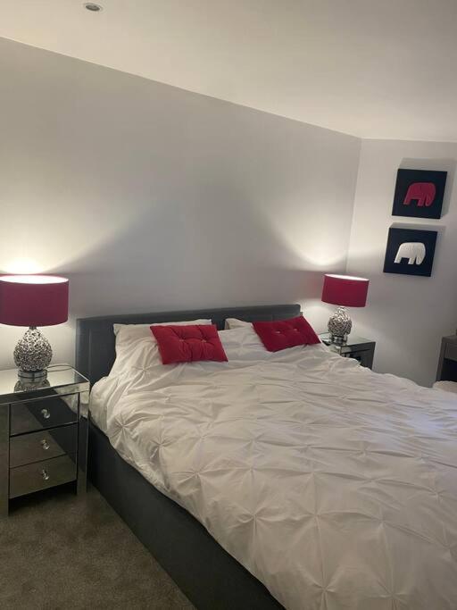 Lovely And Spacious Wimbledon Flat Londen