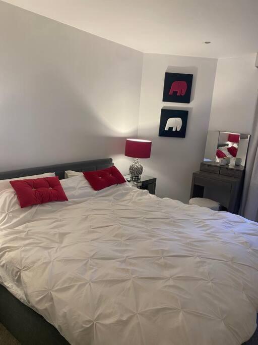 Lovely And Spacious Wimbledon Flat Appartement