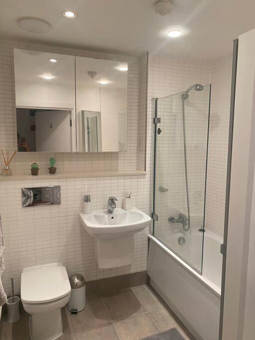 Appartement Lovely And Spacious Wimbledon Flat Londen