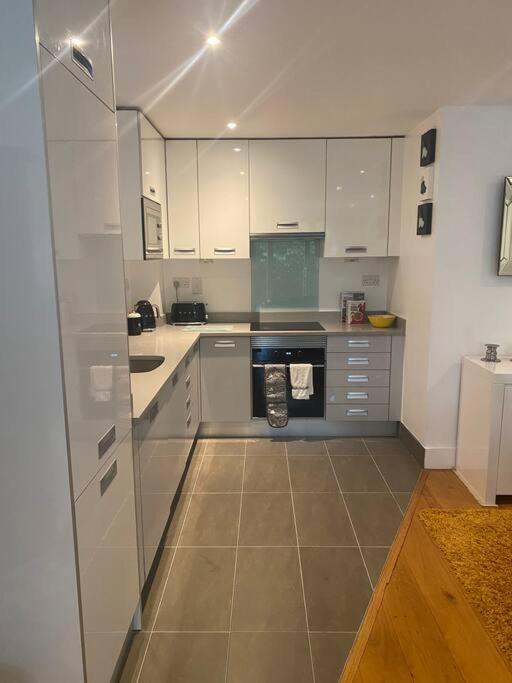 Appartement Lovely And Spacious Wimbledon Flat