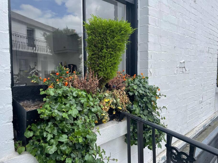Spacious 1-bedroom In Belsize Village Apartment London