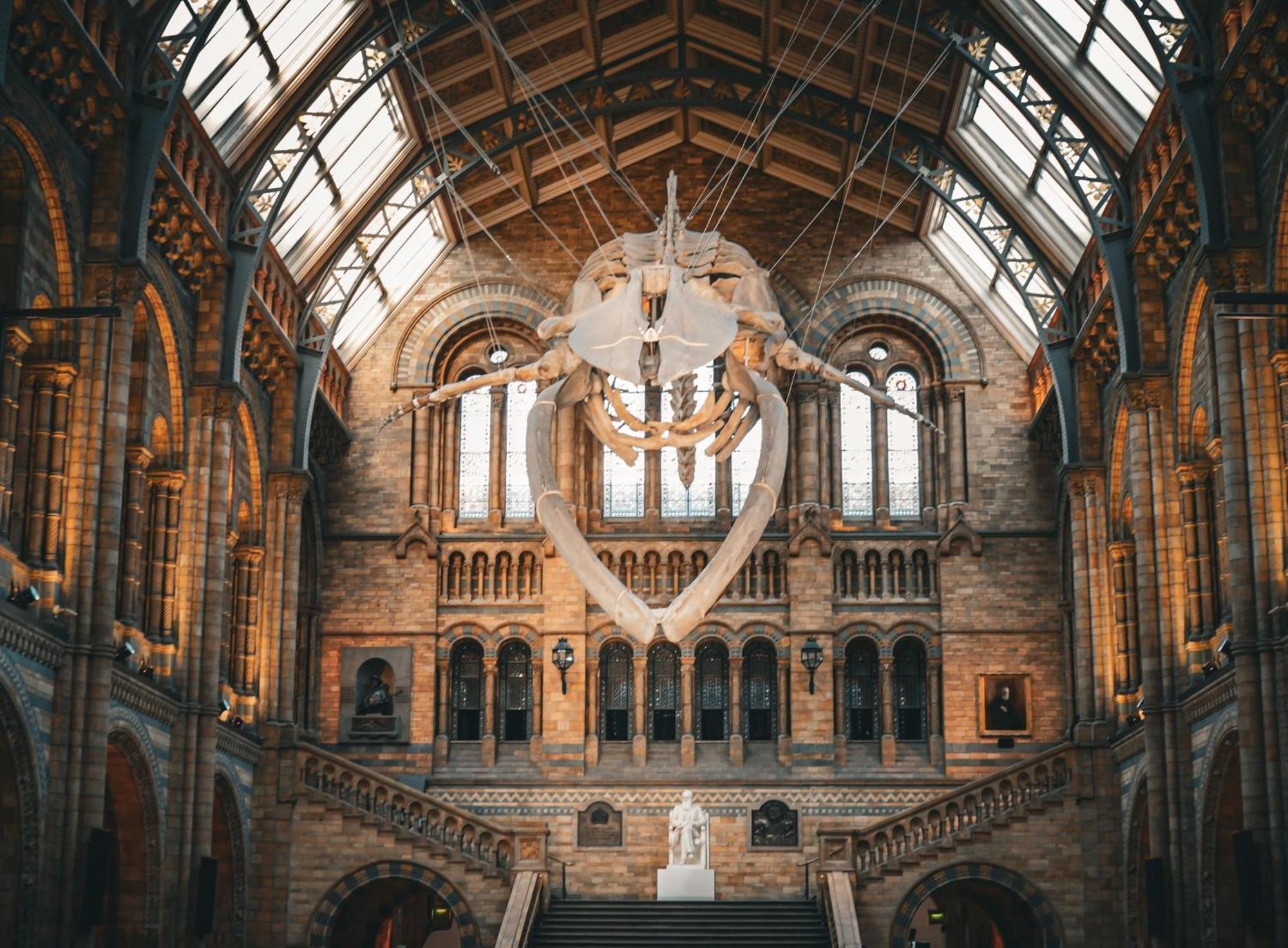 Collingham Place