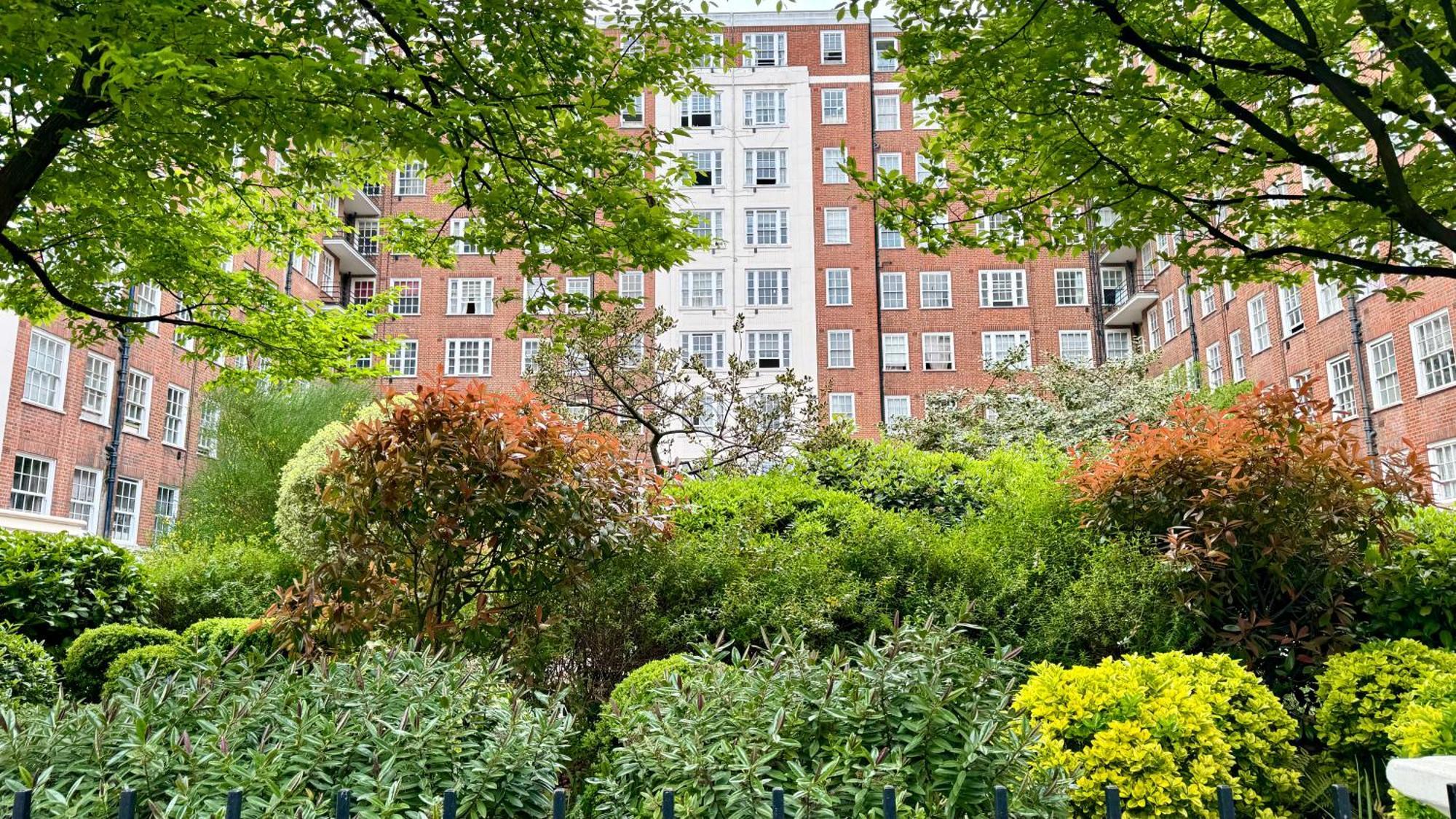1 Bedroom Edgware Road Hosted By Ali Apartment London