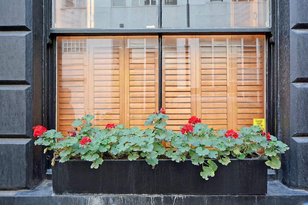 The Oxford Circus Residences