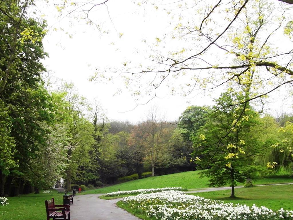 Hotel Roseview Alexandra Palace London