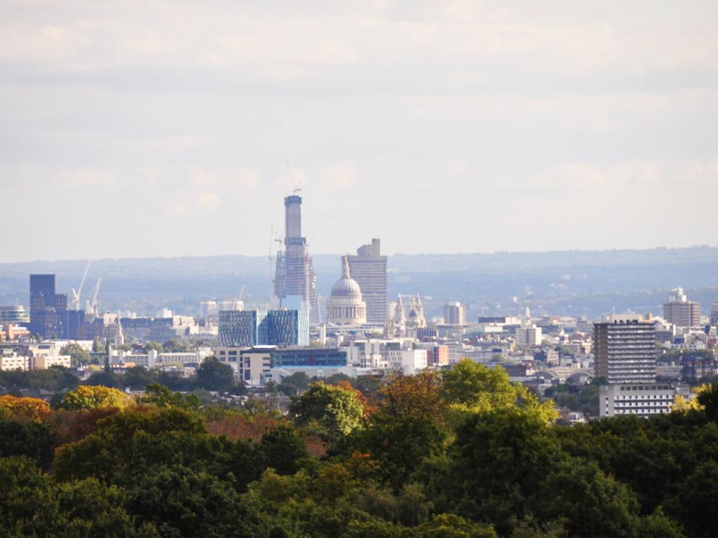 Hotel Roseview Alexandra Palace 3*