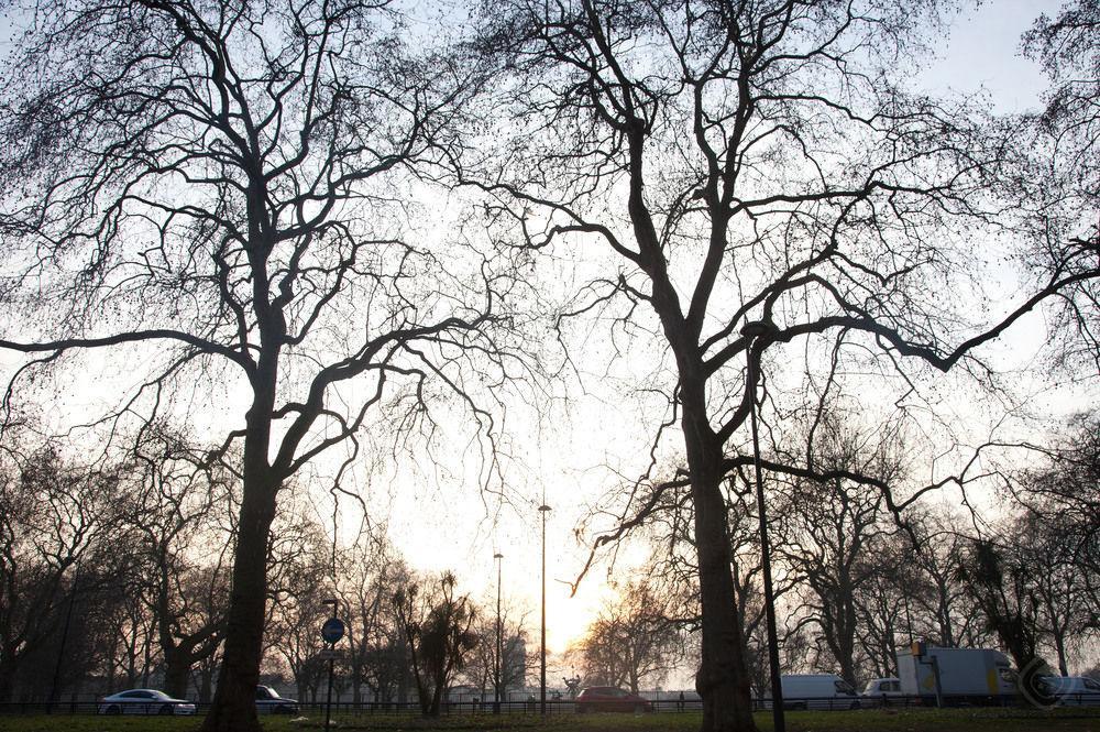 The Mayfair Collections 4* London