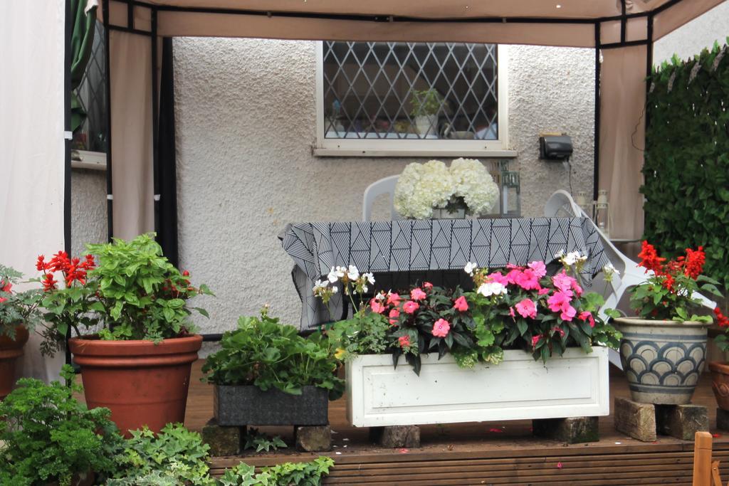 Southfieldsb&bstudios Bed & Breakfast 3*